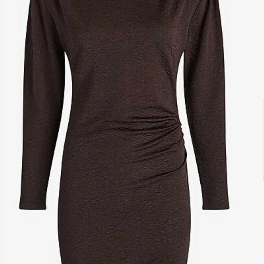 Express Chocolate Long Sleeve Dress